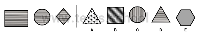 CAT4 Level A: Figure Classification Sample