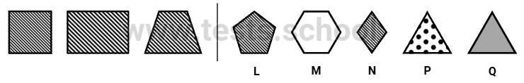 CAT4 Level C: Figure Classification Sample