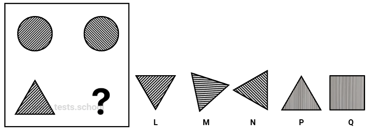 CAT4 Level C: Figure Matrices Sample