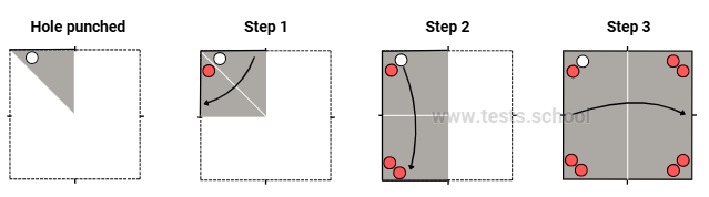 CAT4 Level D: Figure Analysis Answer