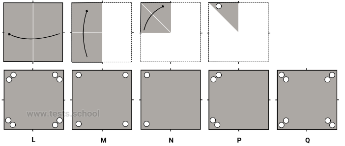 CAT4 Level D: Figure Analysis Sample