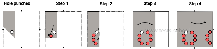 CAT4 Level E: Figure Analysis Sample Answer