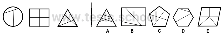 CAT4 Level E: Figure Classification Sample