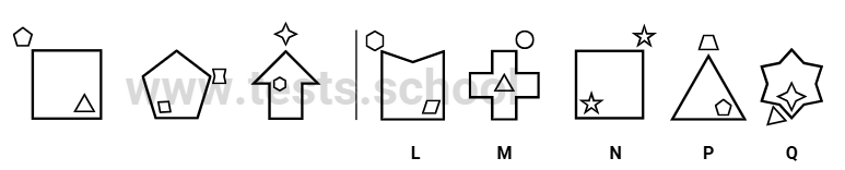 CAT4 Level G: Figure Classification Sample