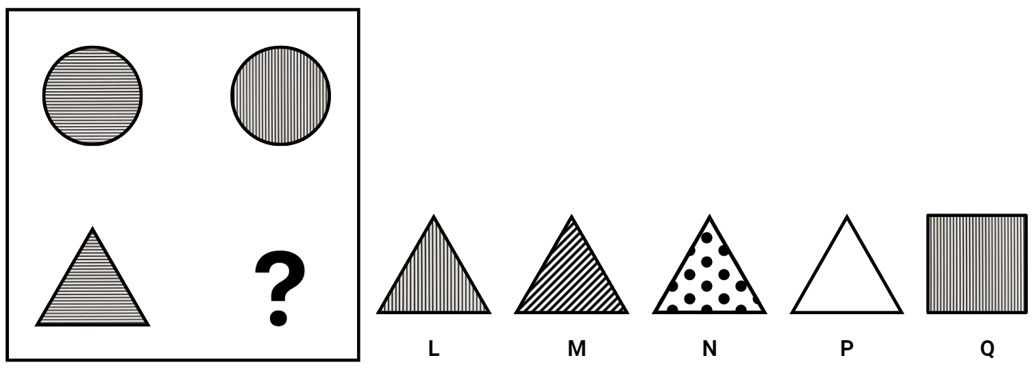 CAT4 Level A: Figure Matrices Sample 3